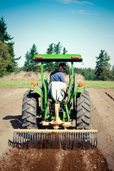 Blueberry Farm Planting Day 10.1.11-2-3